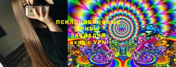 метадон Алексин