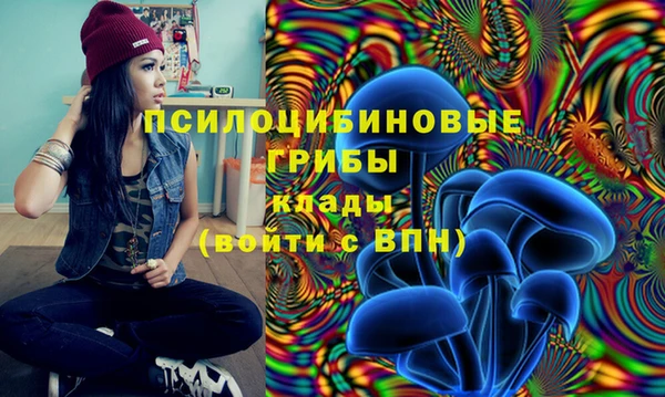 ПСИЛОЦИБИНОВЫЕ ГРИБЫ Алексеевка