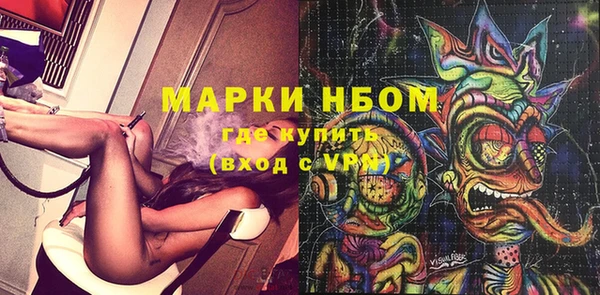 метадон Алексин